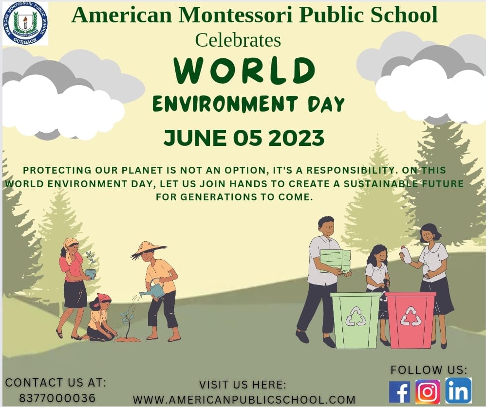 American Montessori Public School